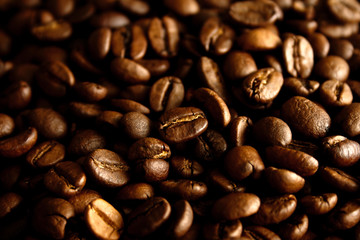 Closeup of coffee beans