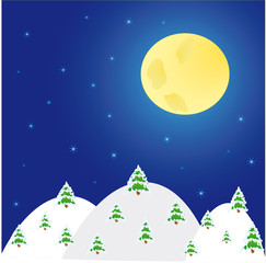 Fototapeta na wymiar night winter landscape with trees and moon