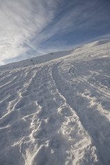 footprints on the ice