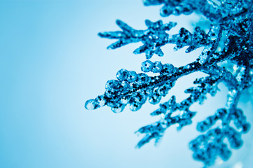 Blue ornament in the snow