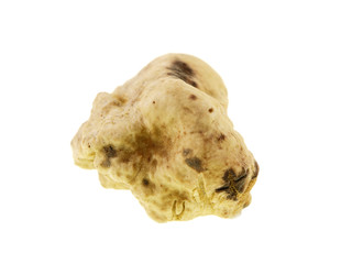 white truffle