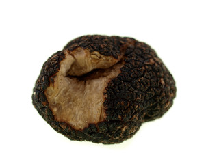 black truffle