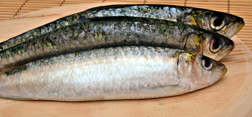 Sardinas