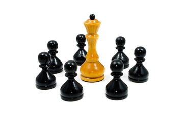 The chess pieces