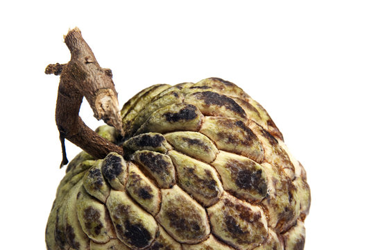 Part of anone fruit on white background