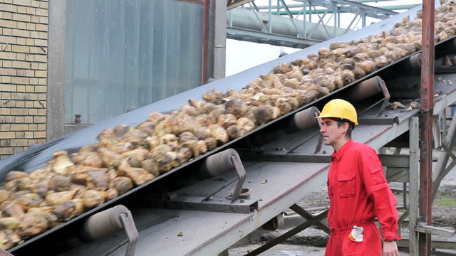Worker in a Sugar Factory
