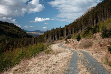 Fototapeta na wymiar road fork in the mountain george under the blue cloudy sky in Wa