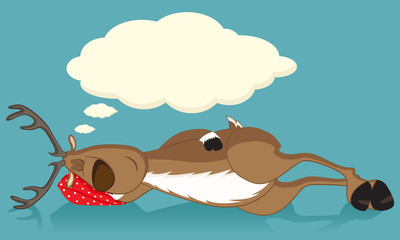 Sleeping reindeer