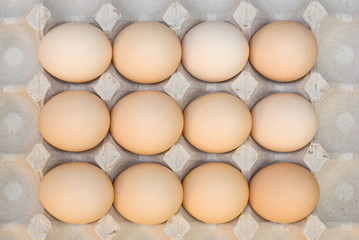 eggs
