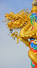 Golden dragon statue in Thailand