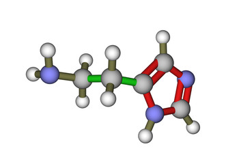 The molecule of histamine