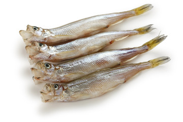 shishamo, japanese smelt with roe