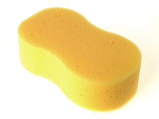 Yellow Sponge