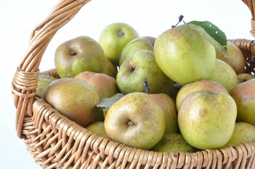 pommes d'Auvergne de variété 'Armoise'