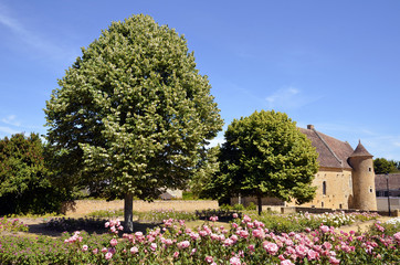 Garden at Asnière sur Vègre in France