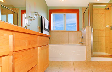 Fototapeta na wymiar Beautiful large bathroom with shower and bathtub.
