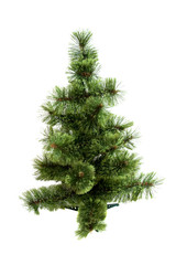 The Christmas tree ready to decorate isolated on white