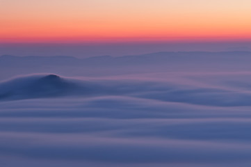 Misty Morning