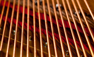 Piano strings in macro
