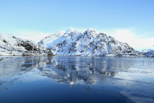 Icy fjord of Lofoten