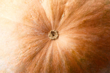 abstract pumpkin background
