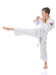 Young boy training karate.