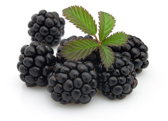 Fresh blackberry
