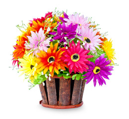 colorful of flower pot