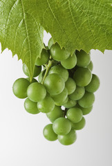 Zielone winogrona
