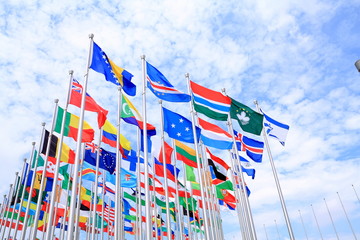 The world national flags