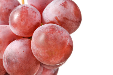 Purple Grapes Close-Up on White Background