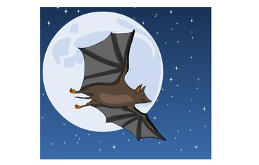 bat on moon