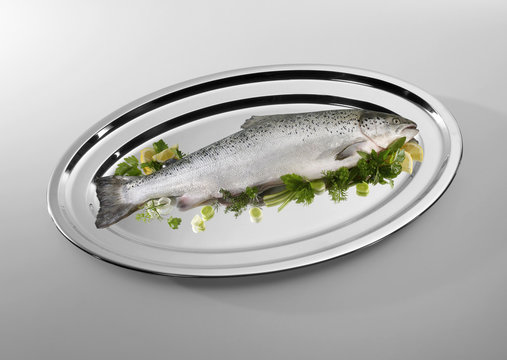 Fisch