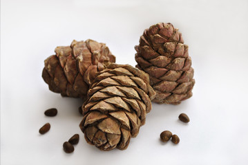 Kedar cones