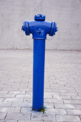 blue city hydrant