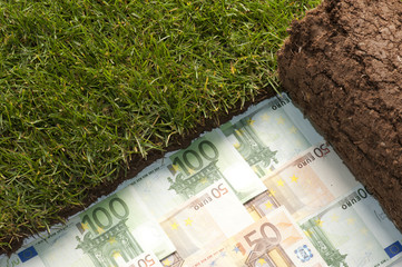 banconote in euro nascoste sotto un tappeto di erba