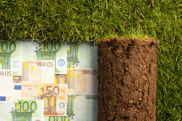 banconote in euro nascoste sotto un tappeto di erba - 37327952