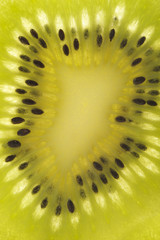 Texture section kiwi fruit
