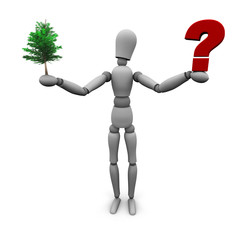 Questions About the Environment