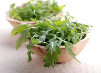 rucola - due