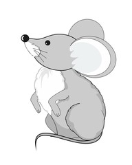 mouse