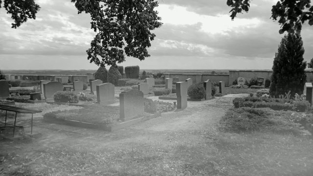 Nebel auf dem Friedhof