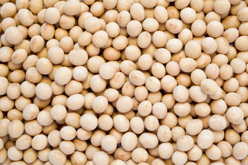 大豆のバックグランド