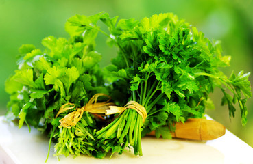 cilantro and  parsley herbs