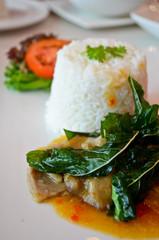 Thai food, minced chicken fried with chilli pepper and sweet bas