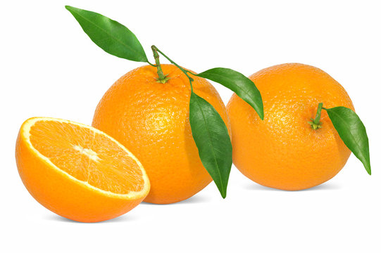 Obst 457