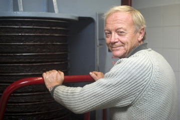 Olive oil production