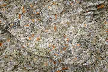 old stone lichen background