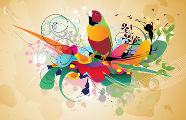 color bird vector design
