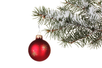 Christmas ball on the tree on white background